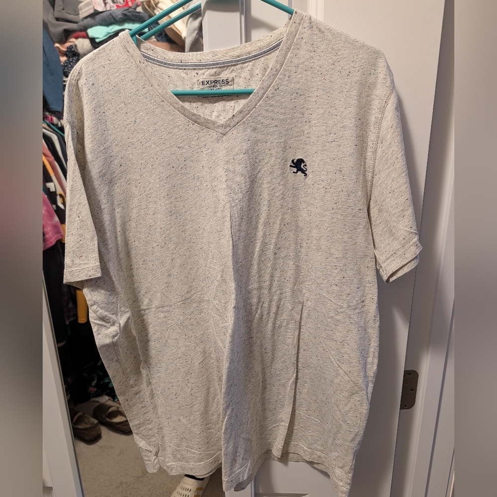 Express Men's Heathered Gray V-Neck Tee With Rainbow Speckles
